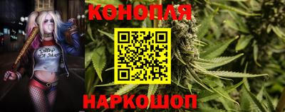 гашик Чапаевск