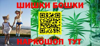 прущие грибы Чебоксары
