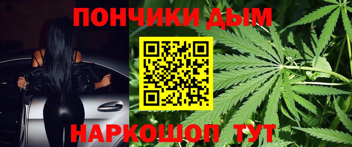 Шишки марихуана индика  МАРИХУАНА индика  Чехов  Вход с VPN  МАРИХУАНА планчик 